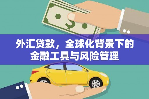 利津外汇贷款，全球化背景下的金融工具与风险管理